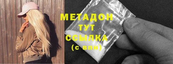 ECSTASY Богданович