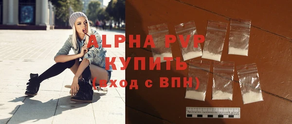 ECSTASY Богданович