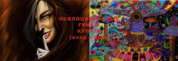 круглые Алексеевка