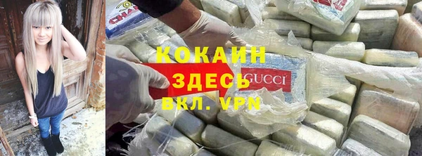 дживик Алзамай