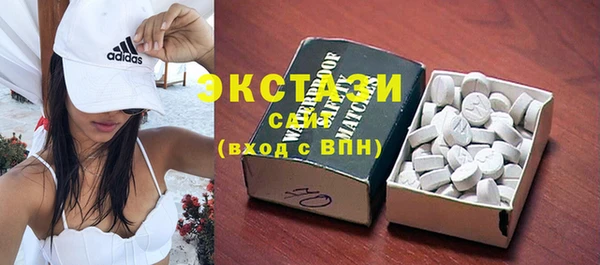 ECSTASY Богданович