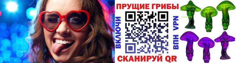 купить наркоту  Орехово-Зуево  Псилоцибиновые грибы мицелий 